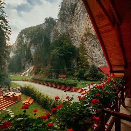 Casa Cheile Dambovicioarei - Cabana 2 Dîmbovicioara Екстериор снимка