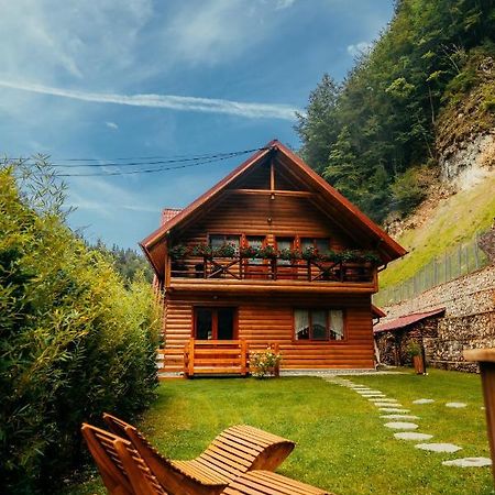 Casa Cheile Dambovicioarei - Cabana 2 Dîmbovicioara Екстериор снимка