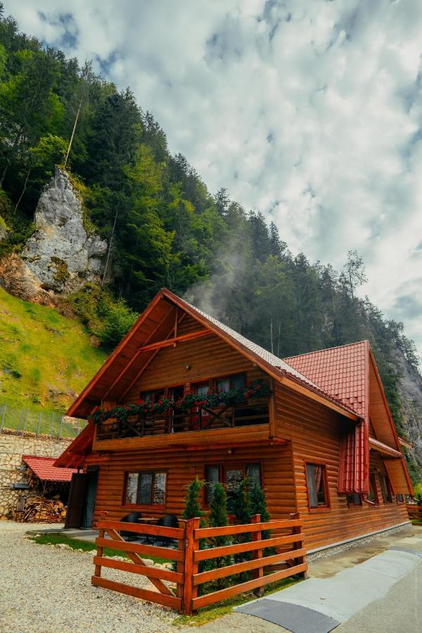 Casa Cheile Dambovicioarei - Cabana 2 Dîmbovicioara Екстериор снимка