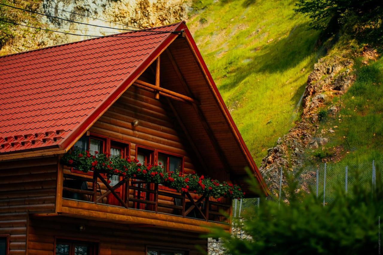 Casa Cheile Dambovicioarei - Cabana 2 Dîmbovicioara Екстериор снимка